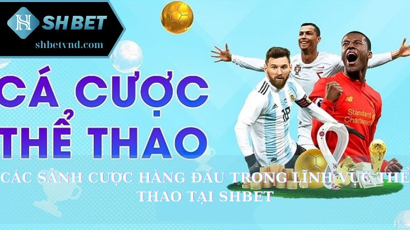 Các sảnh cược hàng đầu trong lĩnh vực thể thao tại Shbet